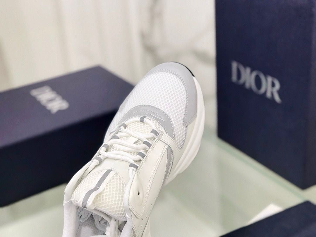 Dior B22