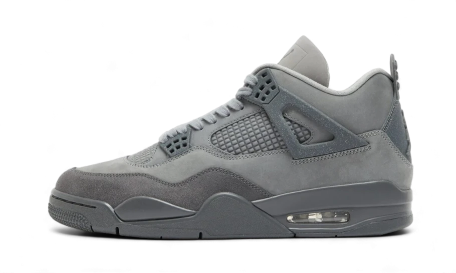 Air Jordan 4 SE 'Paris Olympic'